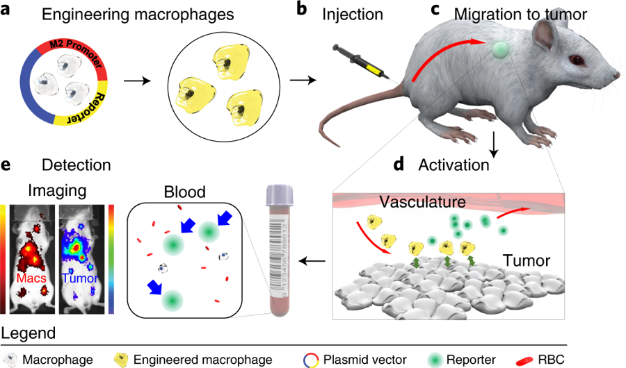 Nature Biotechnology tweet media
