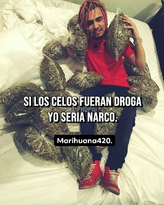 Weed (@weed_cl) / Posts / X