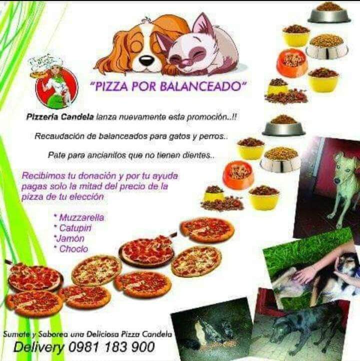 Lourdesbael's tweet photo. Hace más de 5 años abrí mi local: Pizzeria Candela, hace más de 5 años q vienen todas las noches a cenar, gatos, perros callejeros que hace tiempo me di cuenta que todos dependen solamente de los que le damos en el local para sobrevivir
PIZZAS X BALANCEADOtel contacto 0981232749 https://t.co/aCXiTkhd4b
