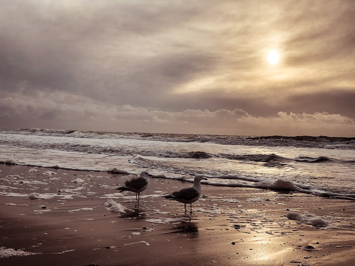 WellSpaPortal's tweet photo. #Auszeitgeniesser am Meer. Draußen schneit es gerade, perfekt für eine tolle Rundreise bei Sturm, Sonne und Meeresrauschen nach @SHurlaub zu unternehmen https://t.co/08UBSUjN0n https://t.co/4Lrq84xene