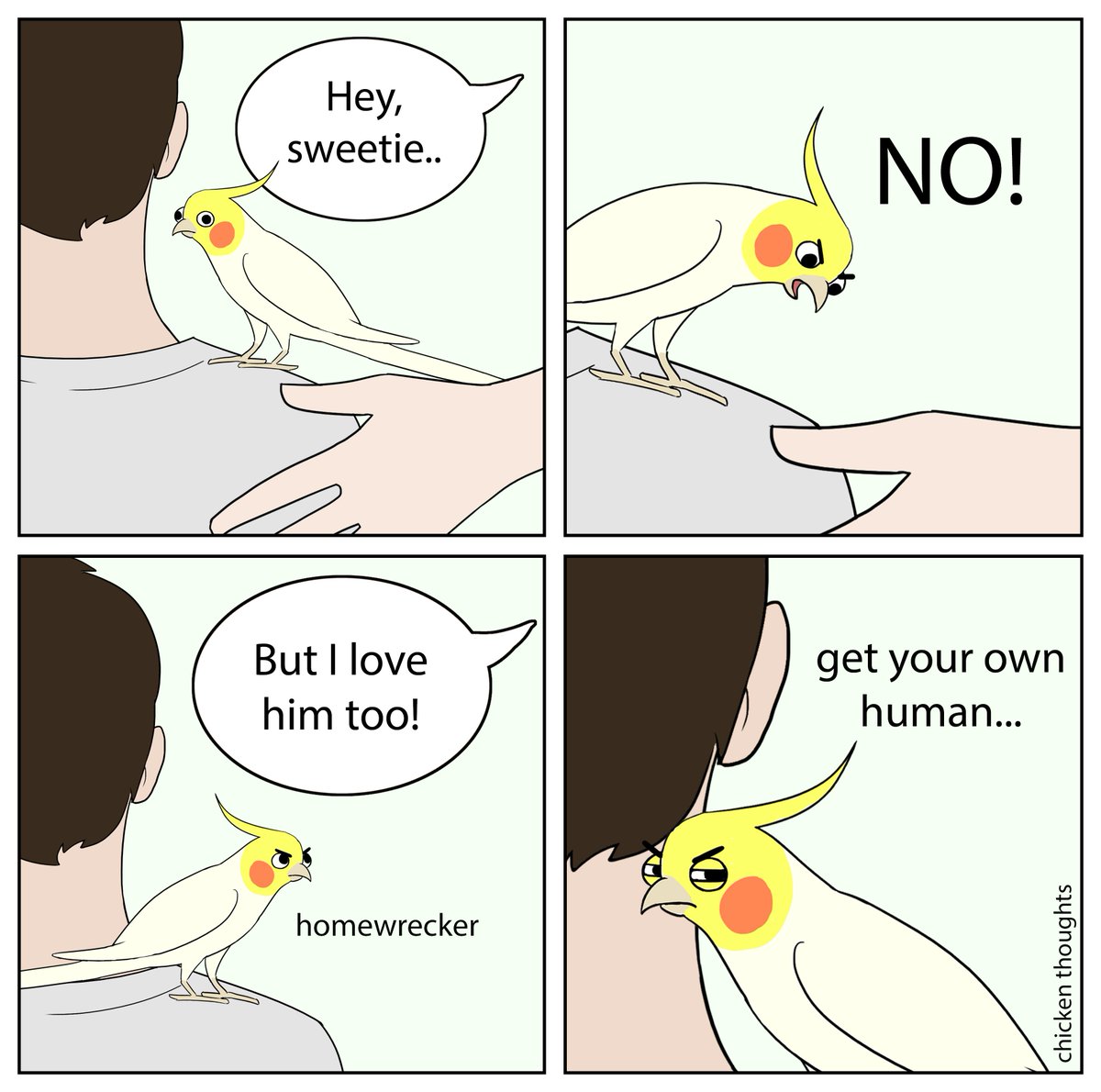 #birb 