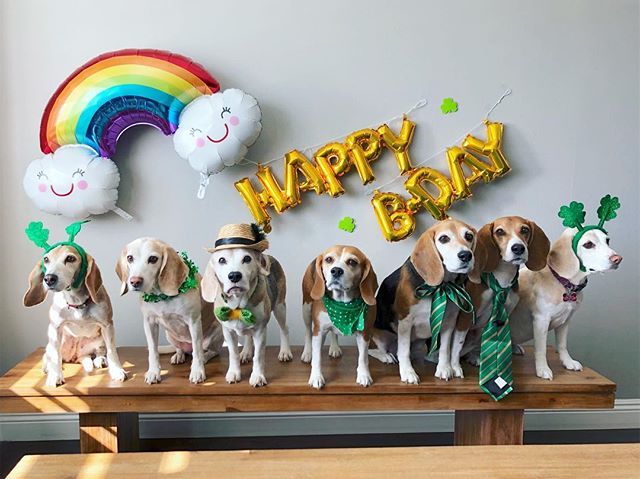 Celebrating lucky number 7! 🥳 #hbd ift.tt/2FlTJut