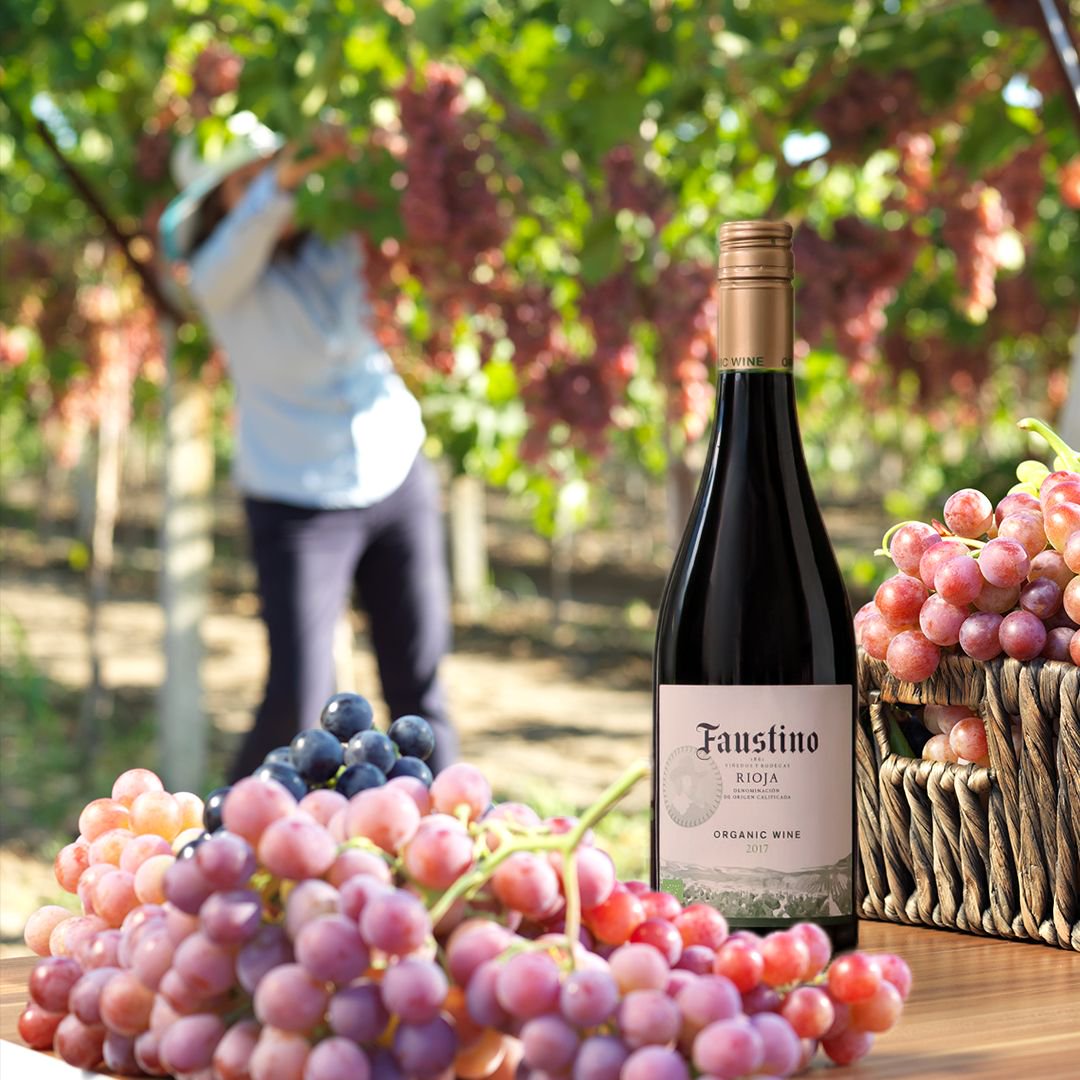 𝗙𝗮𝘂𝘀𝘁𝗶𝗻𝗼 𝗢𝗿𝗴𝗮𝗻𝗶𝗰 is an organic and sustainable wine created with biodegradable materials through energy saving processes. An environmental commitment which has led Faustino to create the first manual of sustainable wine crafting.