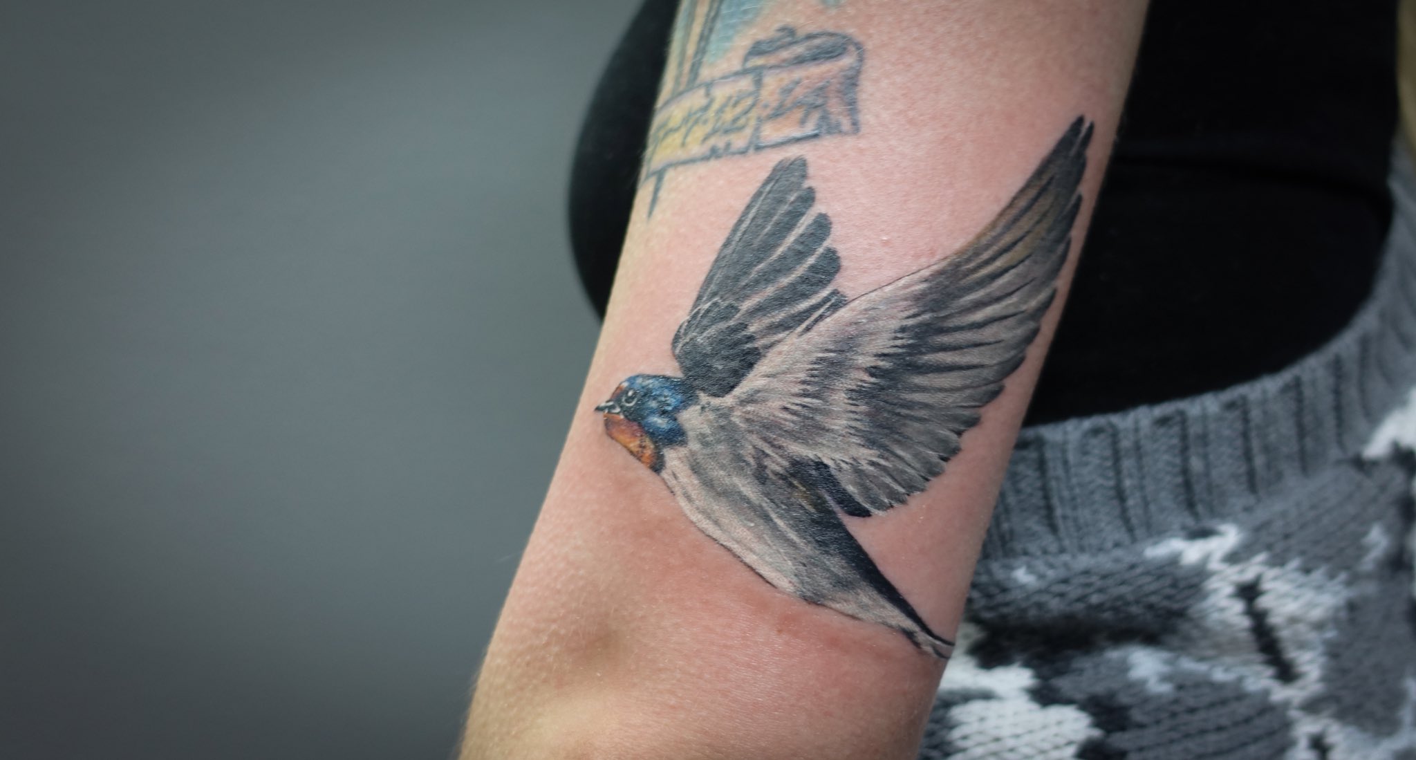 Bird Swallow Tattoo Images | Free Photos, PNG Stickers, Wallpapers &  Backgrounds - rawpixel