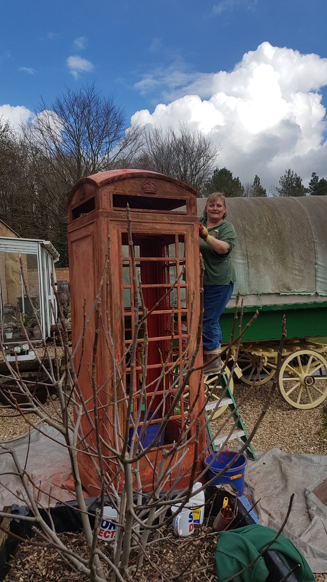 BaumberGarden's tweet photo. It's all happening in the garden, disguising the large container, 7 layers of paint removed from the telephone box ready for it's secret transformation!! Tropical House is bright and cheery!!  #dogfriendly #mondaythoughts #spring #visitlinconshire @explincolnshire @Lincs_Gardens https://t.co/yjQvmGQNnW