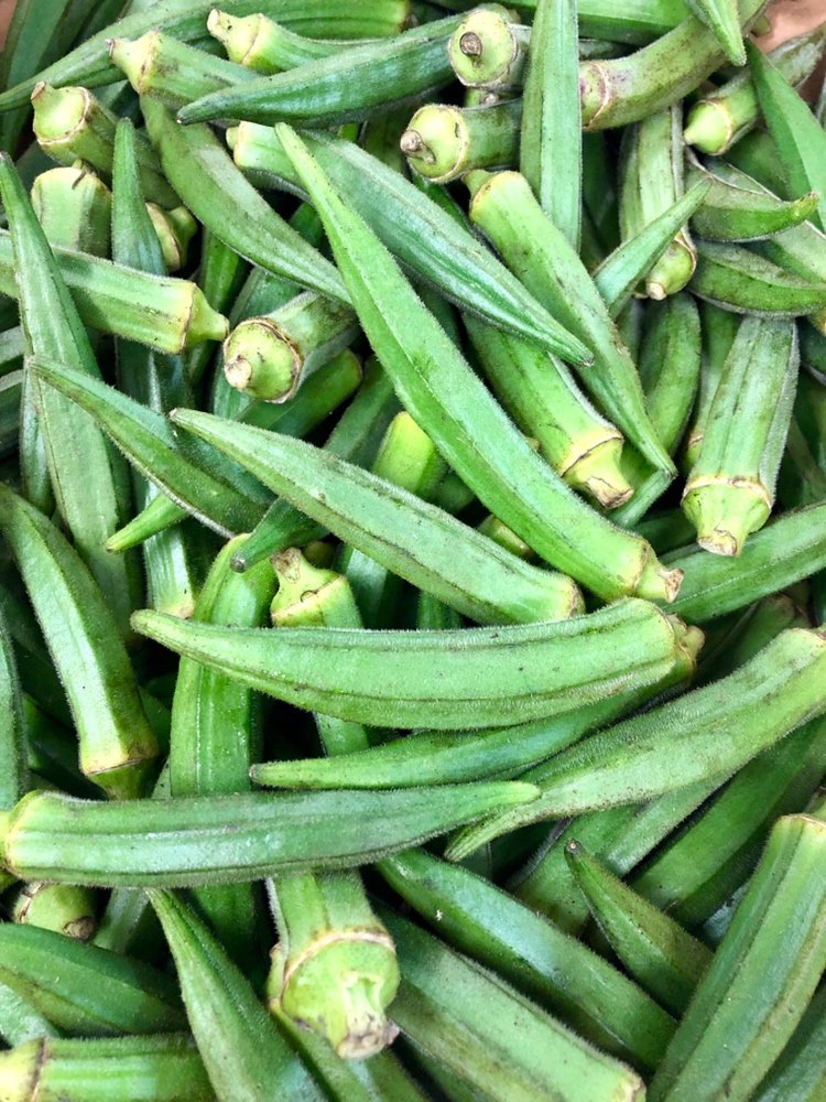 amiraskitchenuk's tweet photo. Bhindi, known to us as okra or ladies fingers, is my favourite bhaji. Tell us your favourite below 👇

Book now! 
Call us 01825 764411
Send us a message https://t.co/GC2VJ1tlot
Book online https://t.co/fqHj12LuB6

Order online for collection and delivery https://t.co/xE4o150Cmr https://t.co/lNauznhx0k