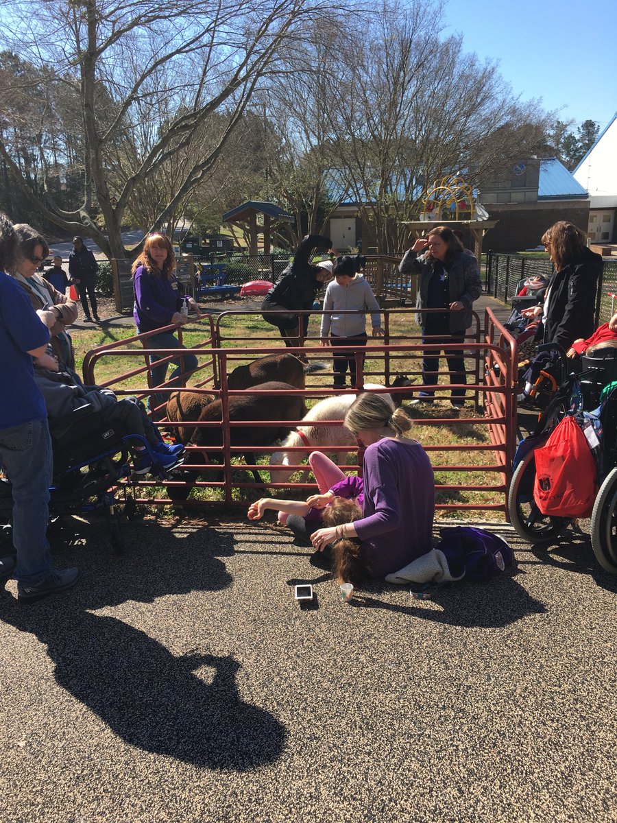 The Petting Zoo came today!!