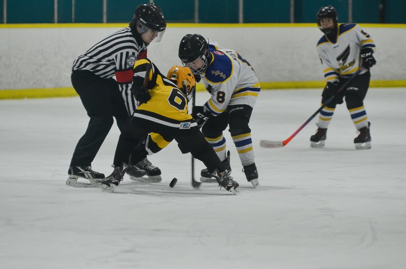 rjspringclassic tweet media