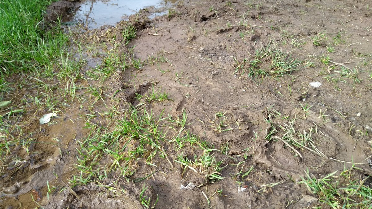 SabCharlie's tweet photo. Charlie's Sabbing Tactics, Part 5: Tracking

Tracking is definitely a secondary skill, but it's one that's worth having and easy to pick up. https://t.co/Rp74LNGcvM