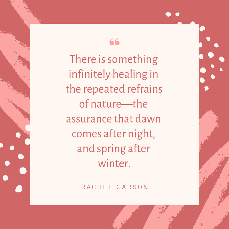 WestCityMag's tweet photo. Today is the last Monday of winter! Warmer weather, blooming flowers and sunny skies are on the way. #MondayMotivation #WestOfTheCity #quoteoftheday https://t.co/nCOZAU7Osh