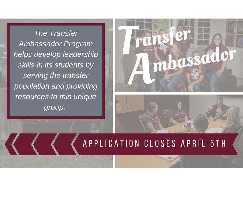 WT_Transfer's tweet image. Now accepting applications for driven, passionate students who want to make an impact! Apply here to be a part of the 2019/2020 Transfer Ambassador cohort: wtamu.joinhandshake.com/jobs/2518233