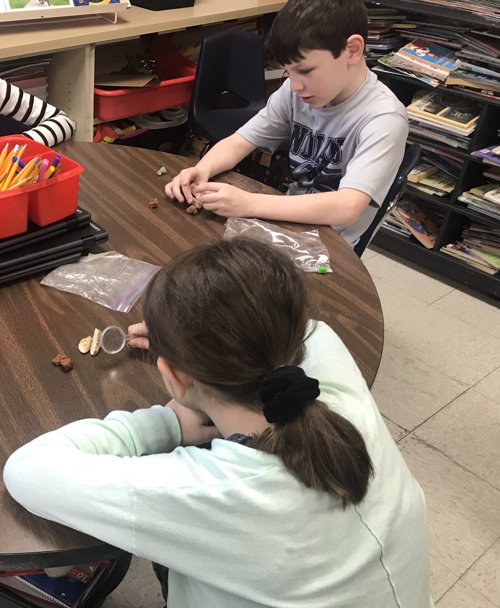MissClark113's tweet photo. Geologists at work! #sd113a #OWBears https://t.co/hLzgRPAsxF