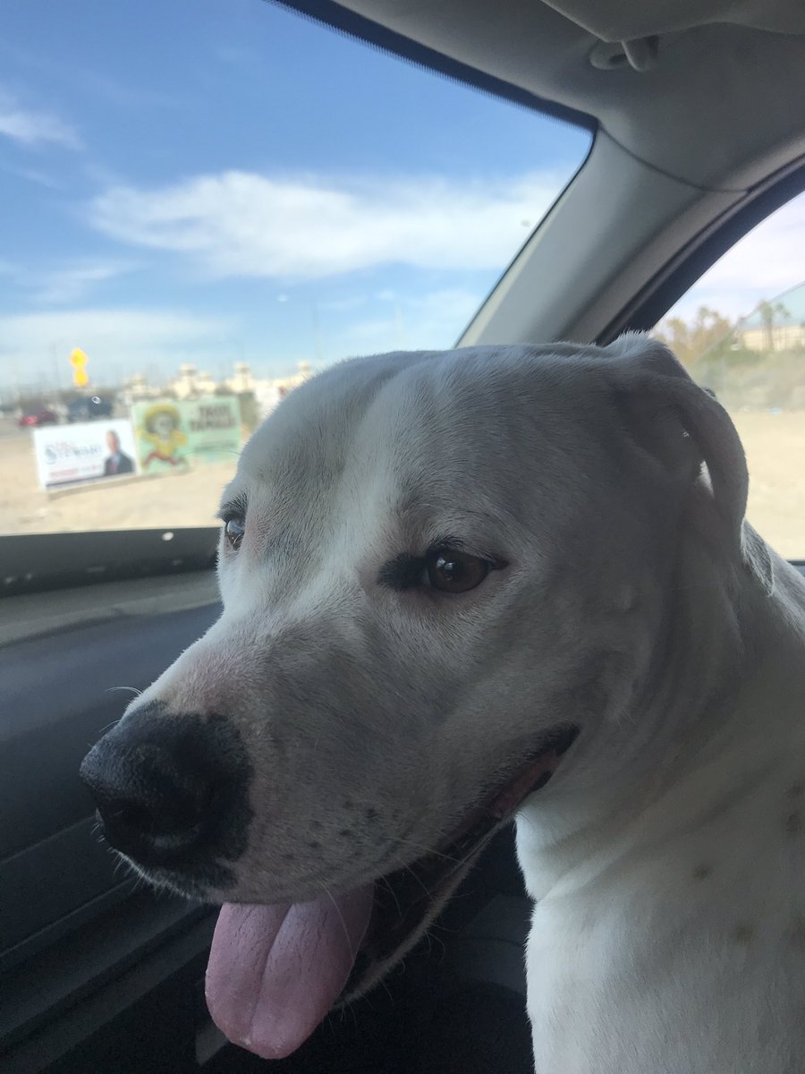 Relock15's tweet image. Found Her.....