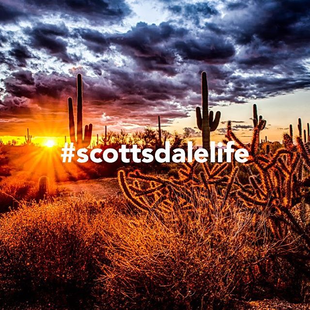 ValleyHomesGRP's tweet photo. Did you know that there are more than 400 miles of hiking trails in the Scottsdale area? The Arizona mountains and Sonoran Desert are beautiful, so throw on your hiking shoes and grab your water and sunscreen and go exploring. . .  #valleyhomesgroup #launchrealestate #scottsdalel https://t.co/Q6KqCeDlsd