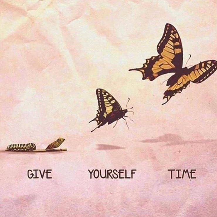 VictoriaJustice's tweet photo. #MondayMotivation 
This one felt right for today because there have been sooo many butterflies floating around LA! It’s been sooo magical. Also, this is so true! 🦋🧡 https://t.co/p7BvNDVBGL
