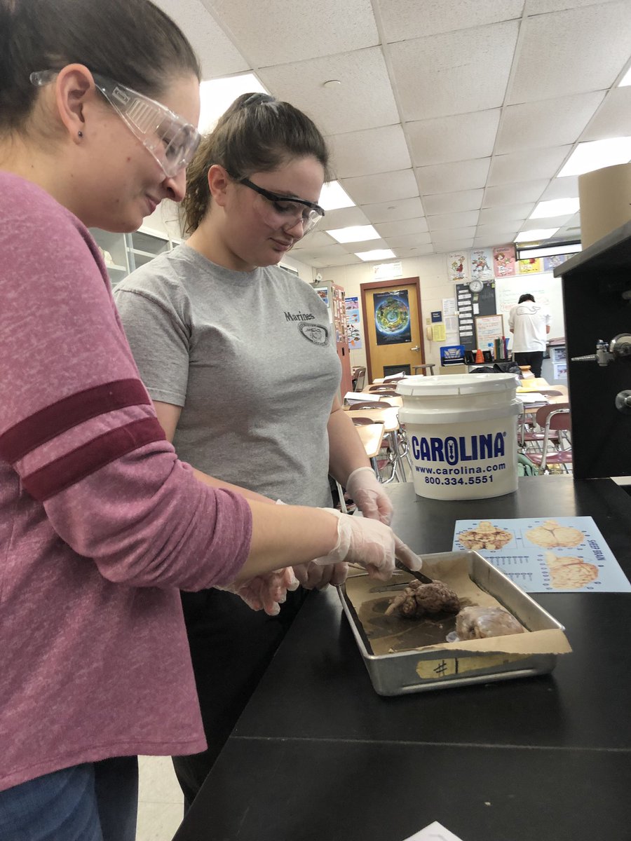 WWHS Science tweet media