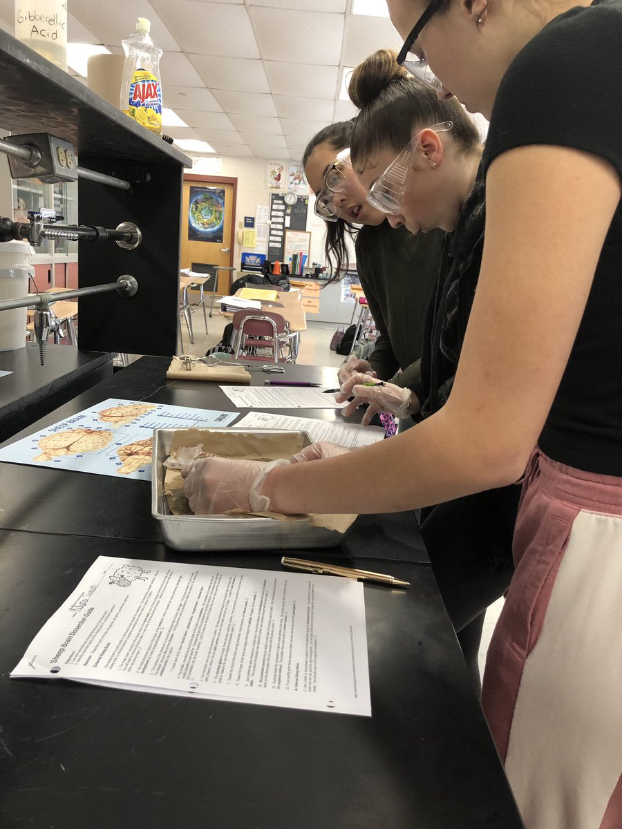 WWHS Science tweet media