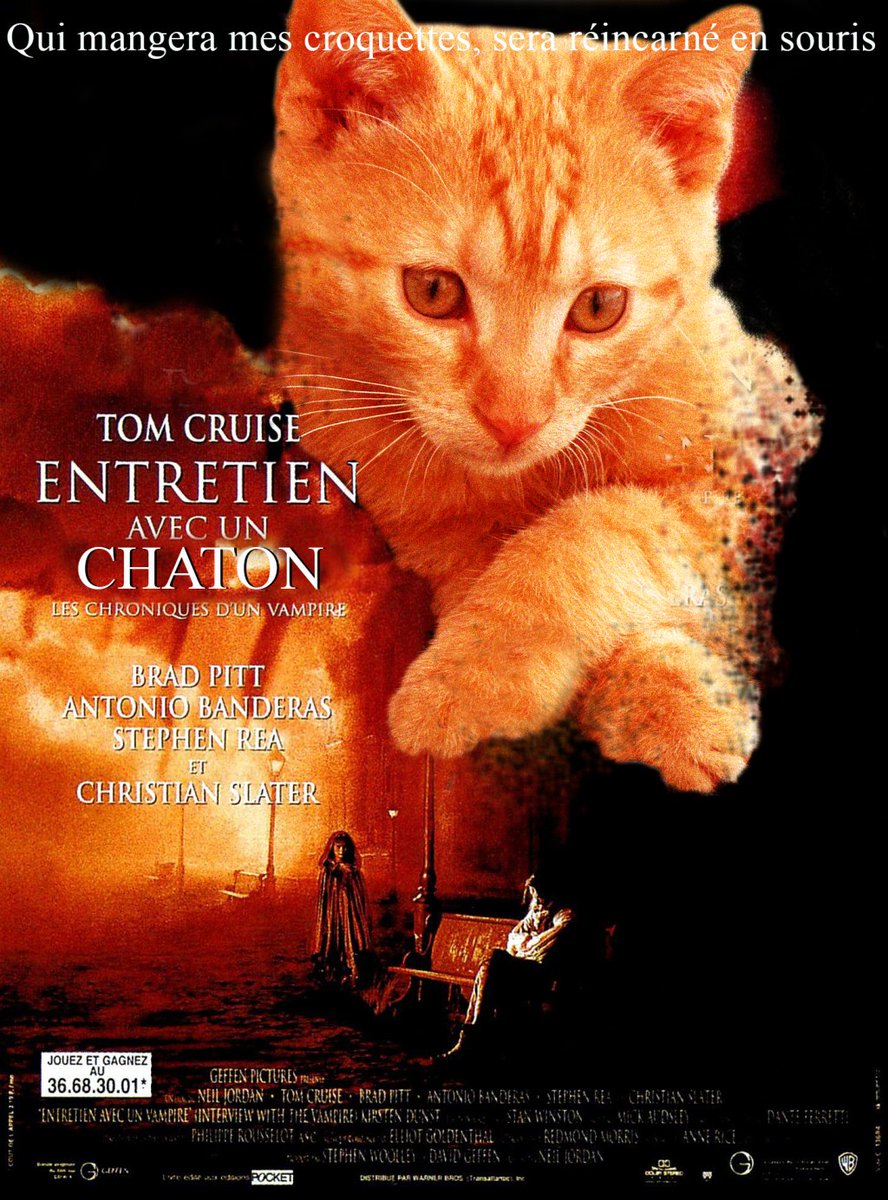 BADCATLEO's tweet photo. Entretien avec un chaton https://t.co/dUF0CcMISO https://t.co/5rENa2B5Nn