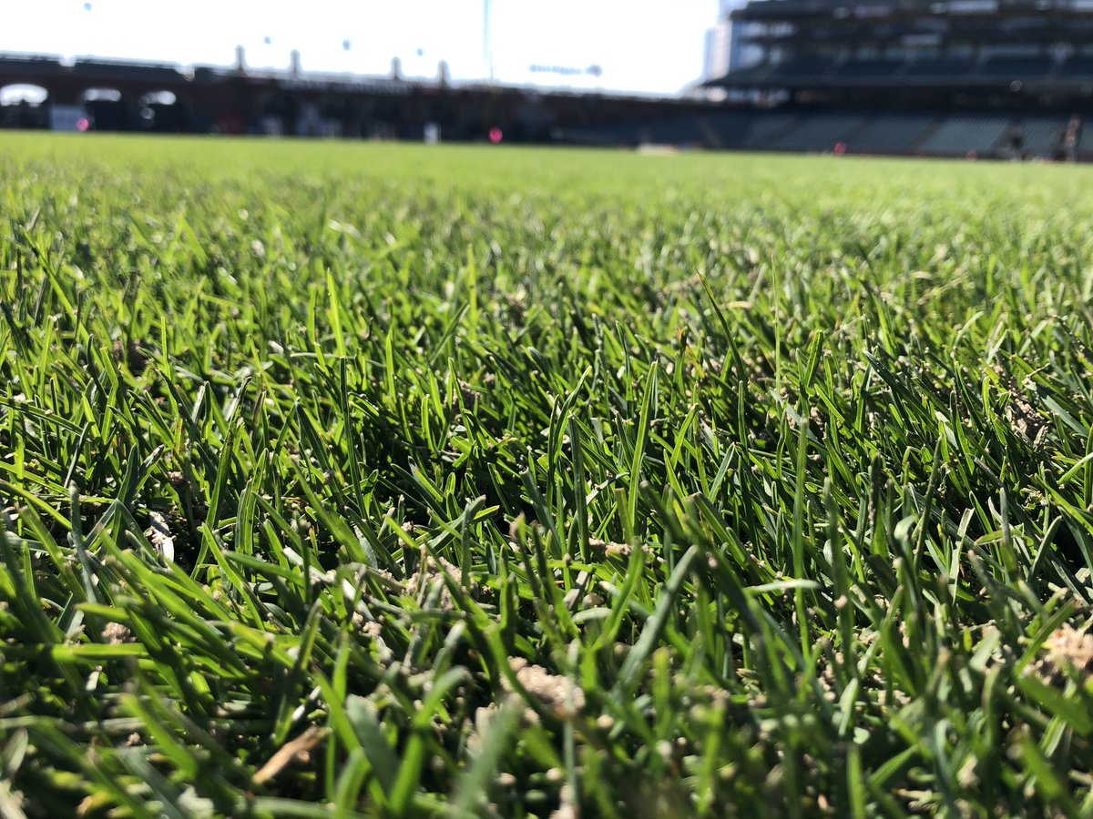 etc_greg's tweet photo. 3/8” core today to get those roots going and close those seams up. Verticut to break cores and I got an @BioSaphe brew going for tomorrow. https://t.co/Kjq8n3hoUp