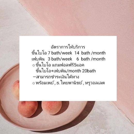 เซี่ยวจ้านเกอ tweet media