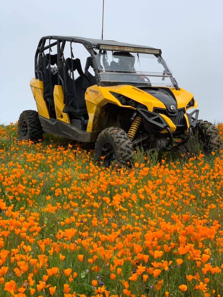 Mike_Schaul's tweet photo. Lake Elsinore this weekend https://t.co/c8xuiSPdz0