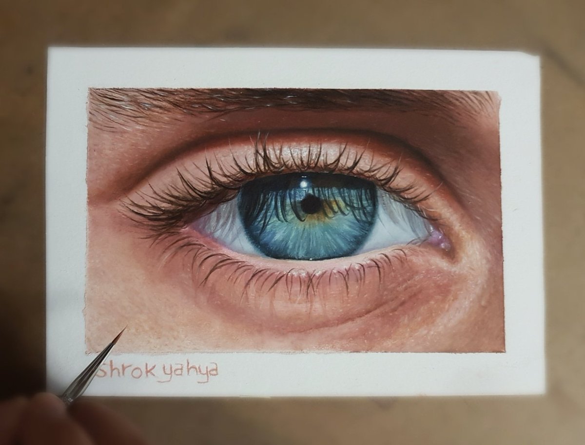 Shrok Yahya tweet media