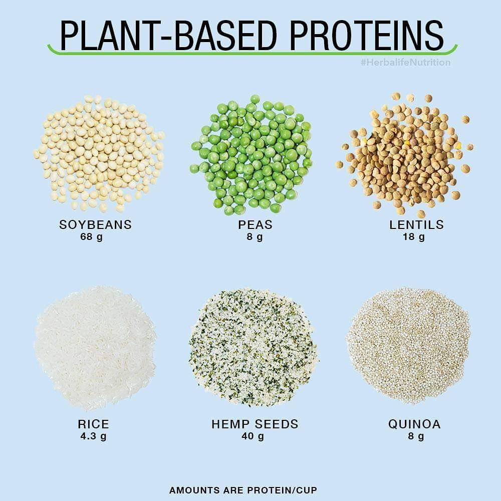 HealthyTrio's tweet image. Myth: Plant-based diets are low in protein 
Fact: Protein can be found in everyday foods like rice, peas and lentils