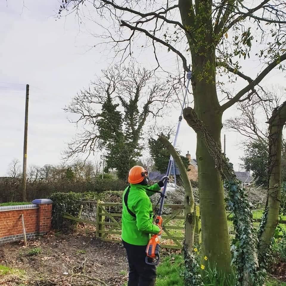 lawncaredoctor's tweet photo. New week, new job... here's one of our co-partners Matt hard at work! https://t.co/0i8DpeK2vL