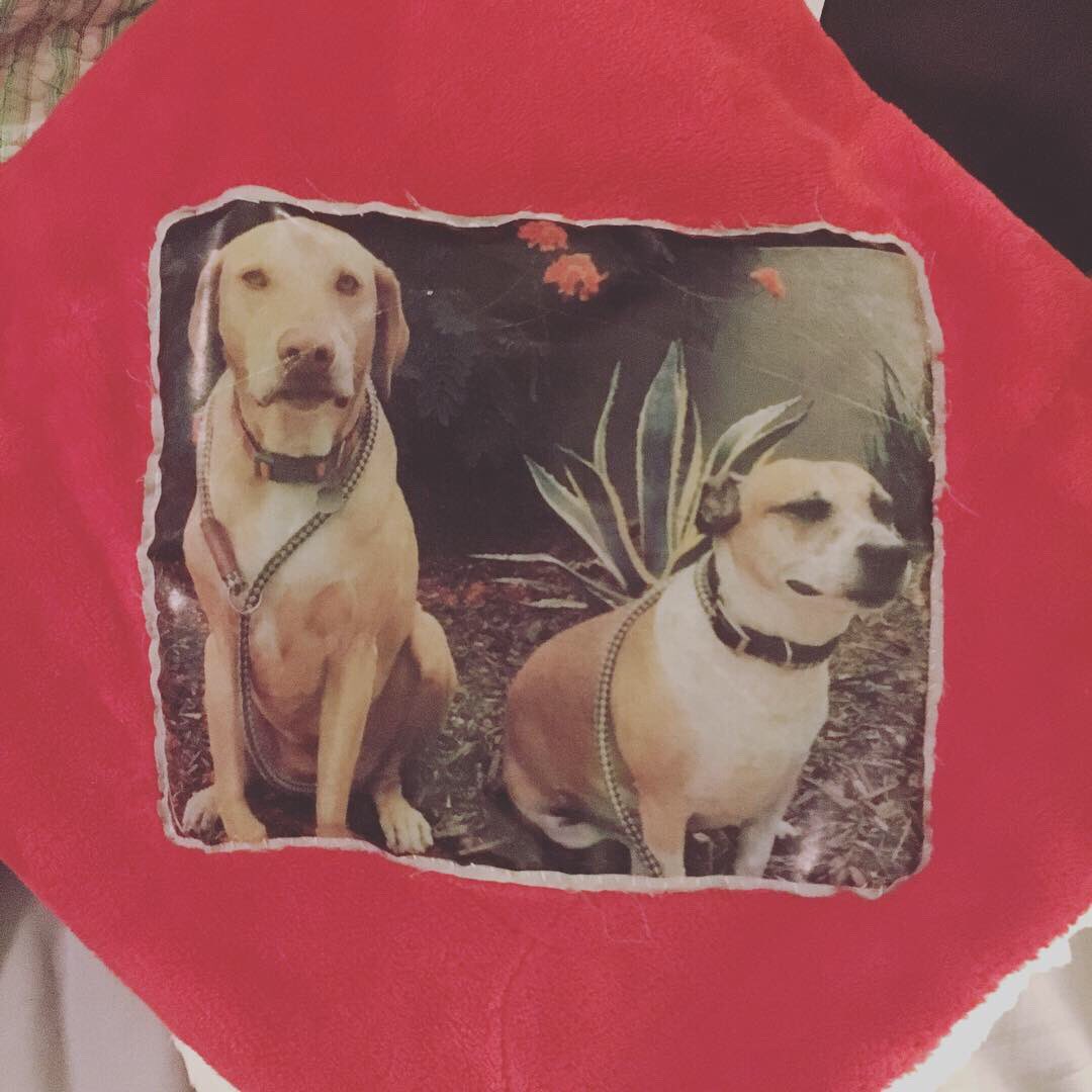 hellohannahgray's tweet image. As always, the absolute best. 

Wouldn’t be a @MyFavMurder m&amp;amp;g if I didn’t adorn something for @GHardstark with Elvis, Mimi, and Dottie, and this year, @KarenKilgariff got a special Frank &amp;amp; George present too! 

Thanks for the best time, SSDGM. ❤️💀🔪