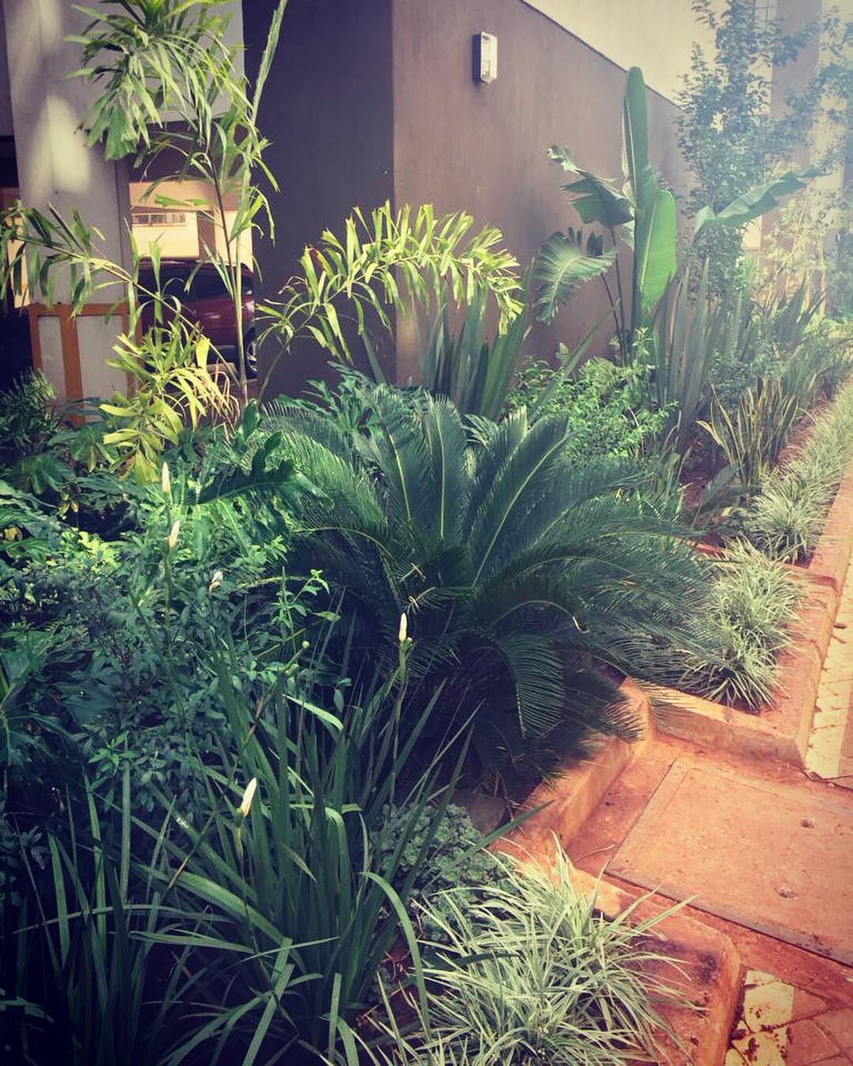 Emma999Too's tweet photo. I totally love my hustle, watching them grow and thrive gives me immense pride and joy. 
#GreenerCleanCities
#GreenerCleanCitiesKe
#PrimeHomesAndGardensLtd https://t.co/gzdhuiBNyq
