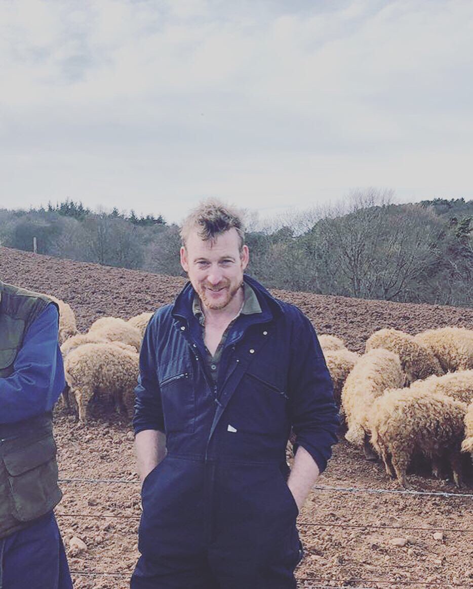 Pedigree Blonde Mangalitsa pigs from farmer Simon Usher of Dunglass Estate selected for @fredecosse @Lescargot_Edin for delivery tomorrow! #mangalitsa #mangalitsapig #edinburgh #edinburghrestaurants #foodie #edinburghfood - 1