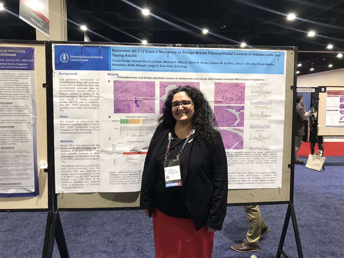 Another round of superb posters with the @MSKPathology fellows & faculty! @TheUSCAP #USCAP2019 #PathFellows (Numbers: 19, 21, 113, 133, 179, 180, 182, 190, 191, 229, 260 & 284)