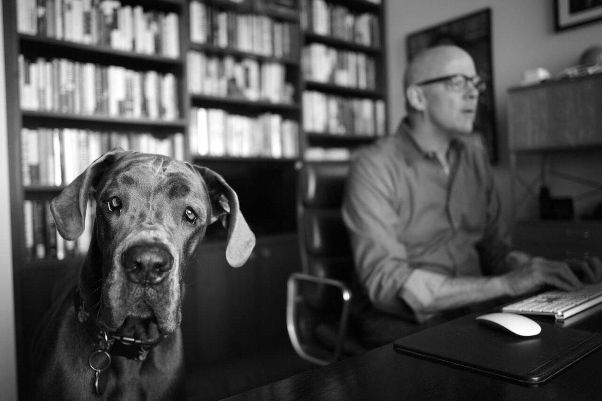 <a href="/jheil/">John Heilemann</a> <a href="/NicolleDWallace/">Nicolle Wallace</a> Fill -In Co-hosts?

I would listen to your dog, he looks wise.