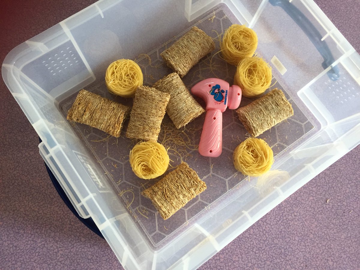 Debpearad's tweet photo. Nicky our Children’s Speech &amp; Language Therapist all set for a session using ‘Fun with Food’ principles #evidencedbasedpractice #childfirst  #makingtherapyfun  @frangipanefran @rach19549203 @SzCathy @kirstyhowells8 @RCSLT https://t.co/hfDfWSEfmJ