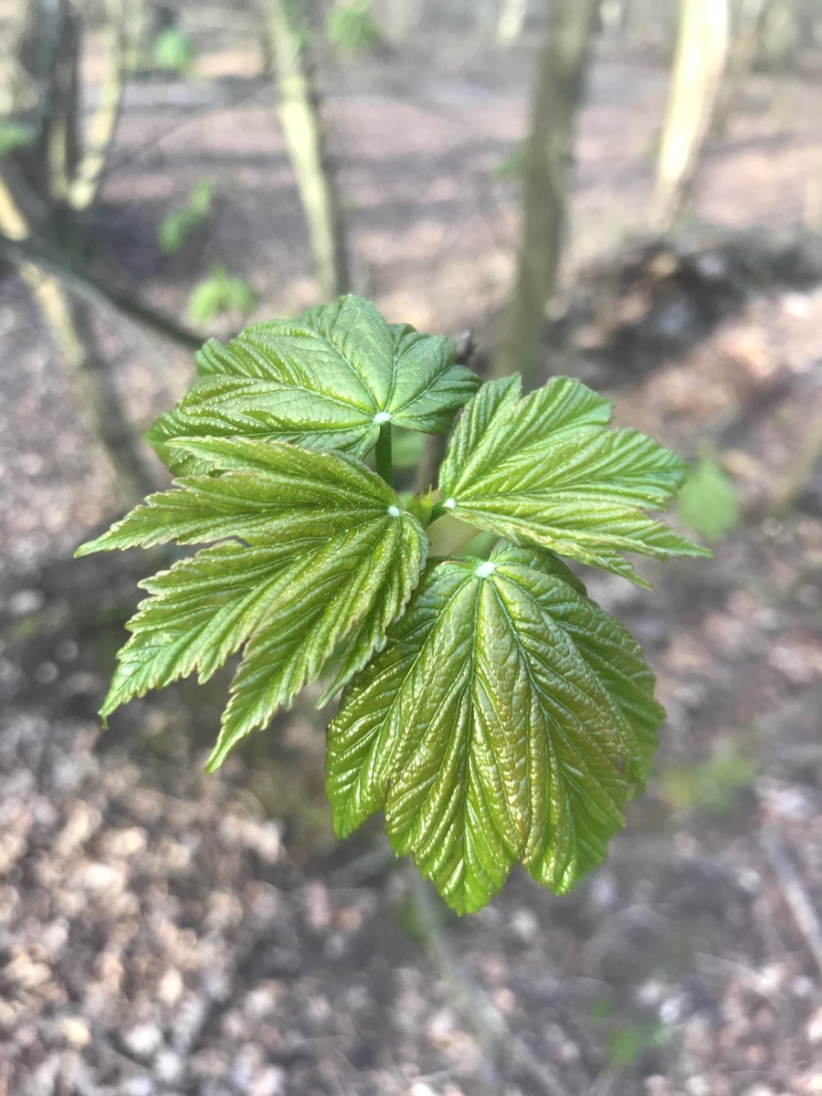 A Vision of Britain tweet media