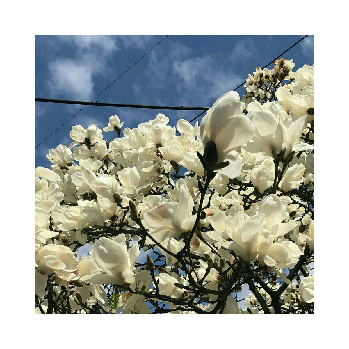 все зачеркнуть и все начать сначала. песня со словом судьба в тексте. все зачеркнуть и все начать сначала как будто. песня вот как будто бы сначала начинается судьба. никогла не бойс начать в е с начала.