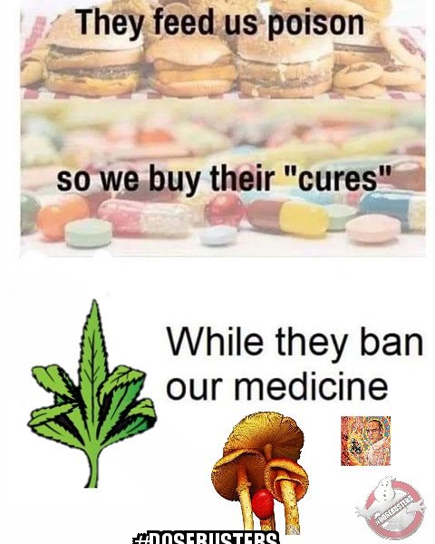 BustersDose's tweet image. #dosebusters