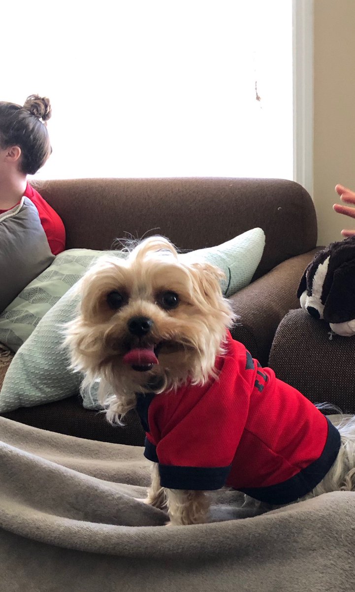 Flyer pup! #Dayton6th