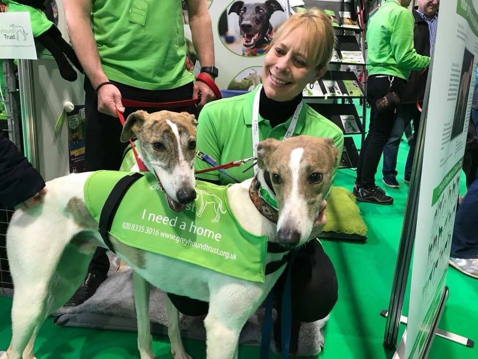 Greyhound Trust tweet media