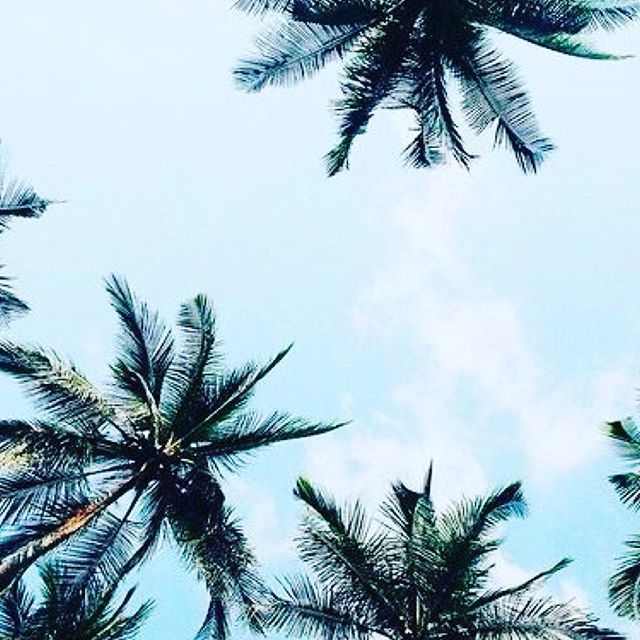 IslandTrendz's tweet photo. Breezy Island Days=Tiki Bar Drinks &amp; Seaters! Both locations have you covered! #islamoradashopping #islandstyle #boutiqueshopping #boutiquefashion @postcardinnholidayisle @amaracayresort https://t.co/ruW4vDR3QQ https://t.co/cIfsQXCglk