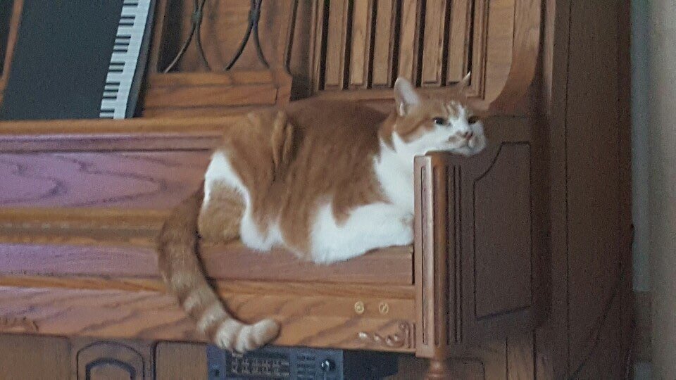 ㅋㅋㅋㅋㅋㅋㅋ못살엌ㅋㅋㅋㅋㅋㅋㅋㅋㅋㅋㅋㅋㅋㅋㅋ