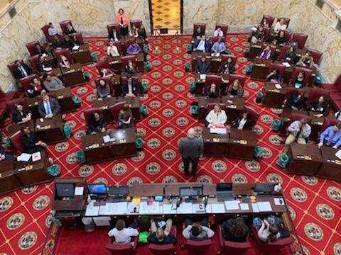 ⁦<a href="/calvertstuco/">CASC</a>⁩ CASC is made up of future Senators.
