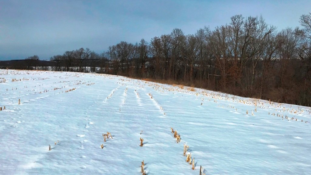 Jay_Frazier_'s tweet photo. A hunting property w/income potential. 75.5+/- acres total, great stand sites regardless of wind direction. https://t.co/OgnzjNtuBO https://t.co/oOtEIUgmx5