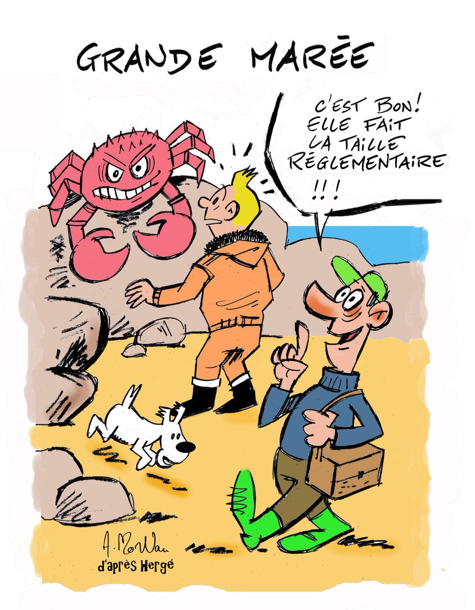 MorvanAndr's tweet photo. https://t.co/LNKlr3BMjc