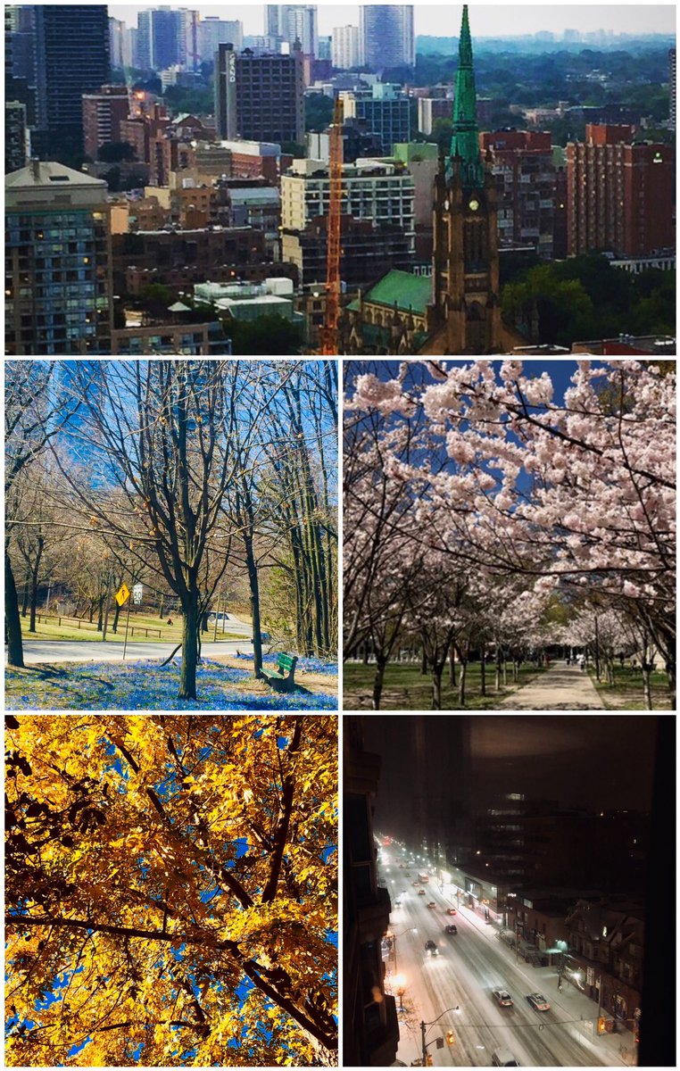 rosemarieumetsu tweet media