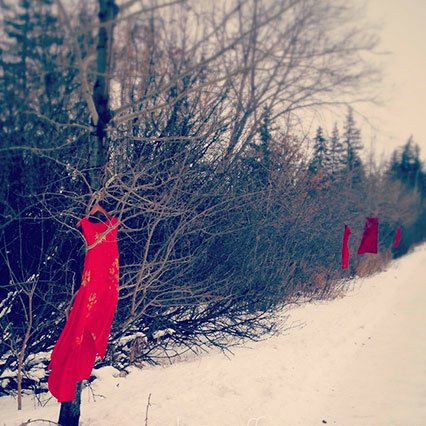jaynieparrish's tweet photo. Safety for Our Sisters: Ending Violence Against Native Women
DC Symposia
3/21 530pm
https://t.co/vOVxC1mHfQ
Showing in the US for the first time, #TheREDressProject, an outdoor art installation by artist Jaime Black (Metis). https://t.co/4QP3AoJbDv #MMIWG #WomensHistoryMonth https://t.co/eEGcOKbZLn