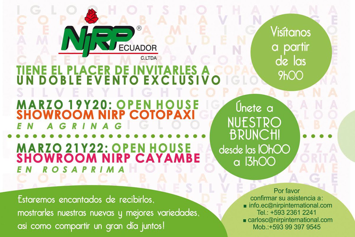 NirpRoses's tweet photo. Open House #NIRP Ecuador! You are invited to join us for a very special Double Event 😀🌹#roses #flowers #florist #freshflowers #ecuador https://t.co/jA9X1rjq4f