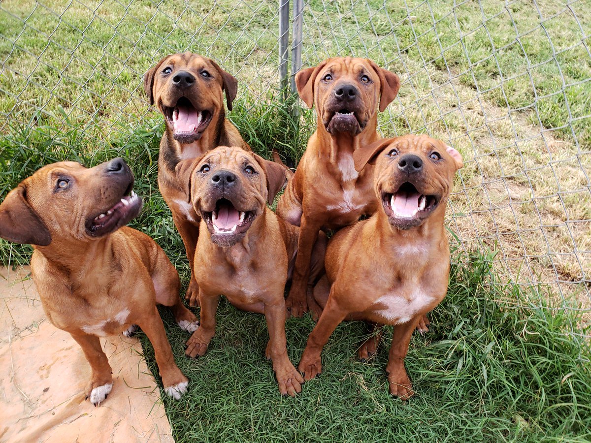 Hollywood19Miss's tweet image. Here's one from 6 and half months ago, of all of them together. Photos like this are hard to get these days. Lol