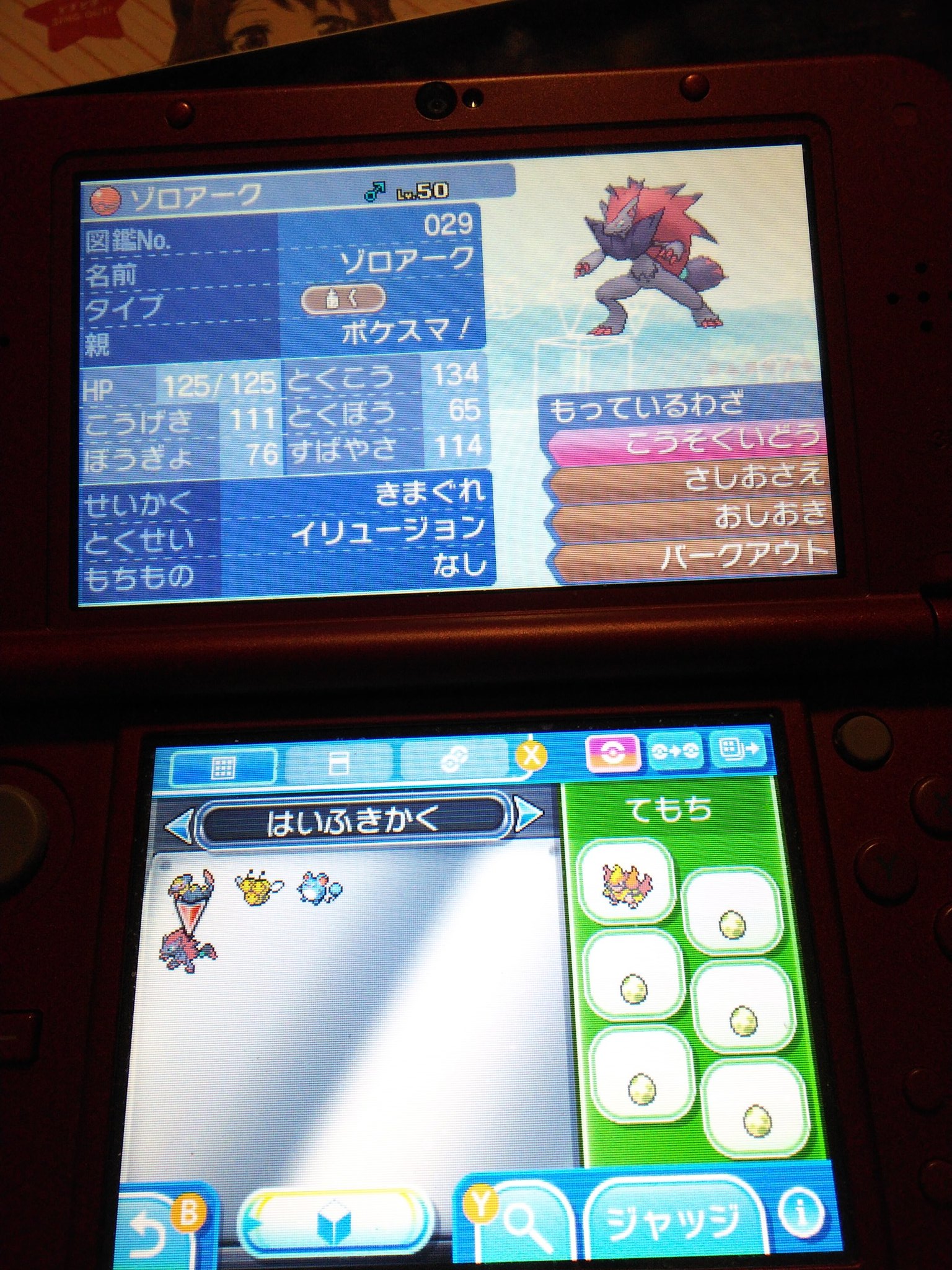 Kaoru ポケモン始めました Kaoru Twitter