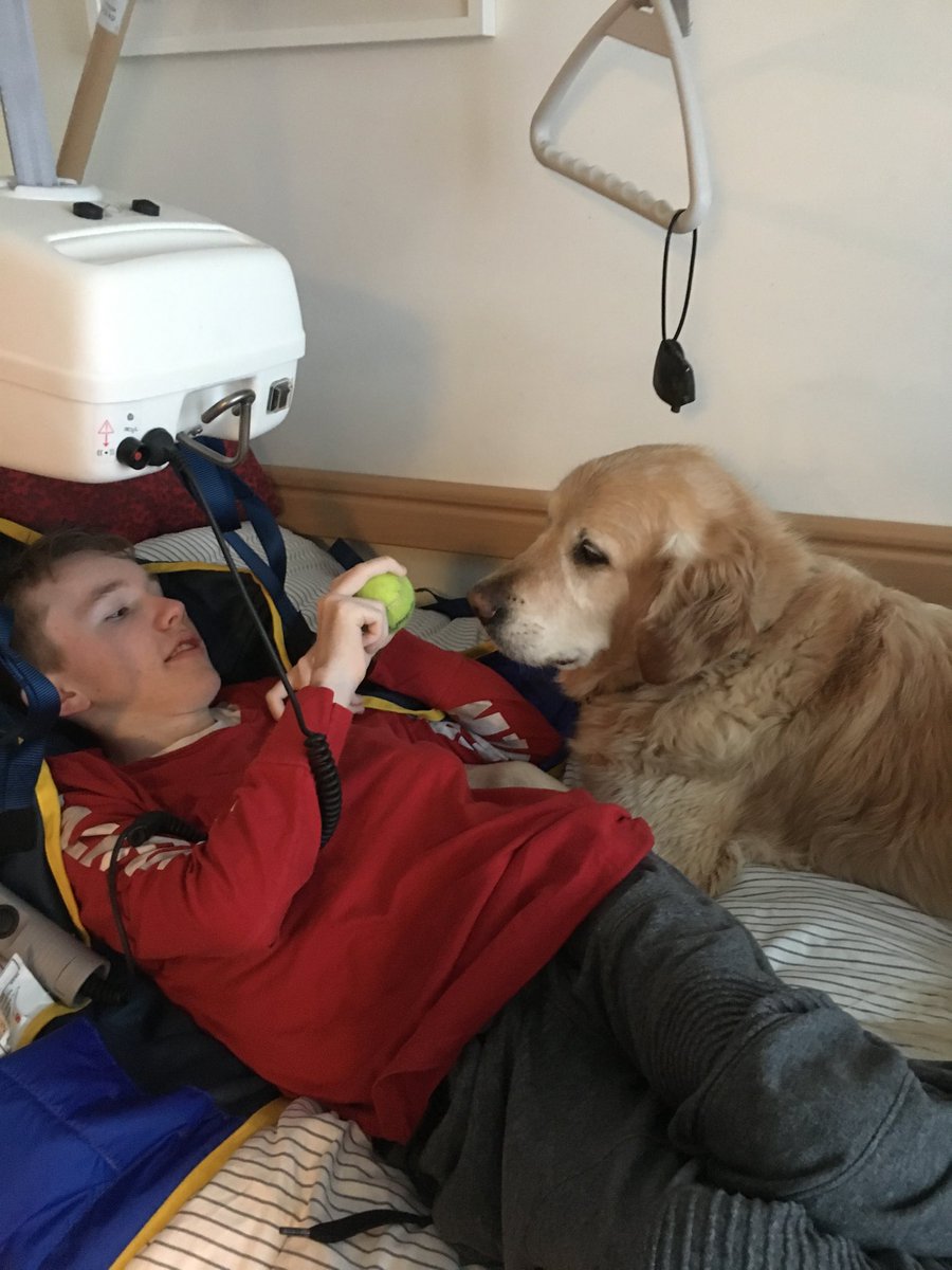 TomClonan's tweet photo. After an Exhausting Fortnight Of TY Placements - Eoghan & Duke are Chilling Out & Plotting & Scheming Tomorrow’s Big Day - Who Will They Hang Out With Tomorrow? All Will Be Revealed ;-) Thanks To All for Being #AbleForEquality https://t.co/Sawp5U6rdU